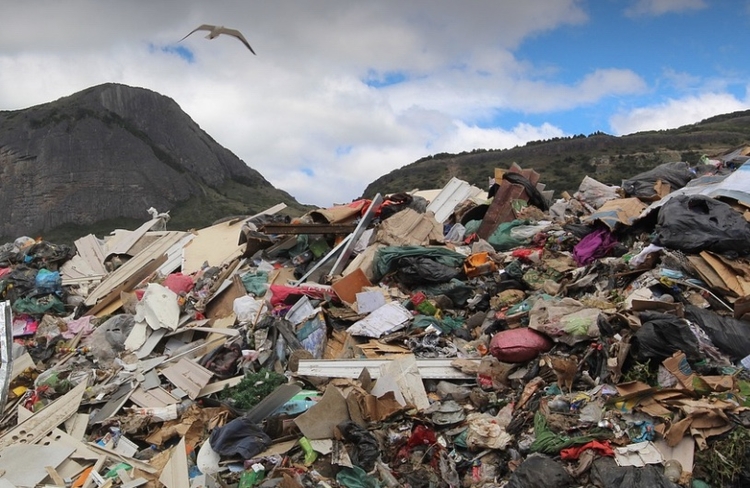 Imagem meramente ilustrativa - Foto: Reprodução/Pixabay