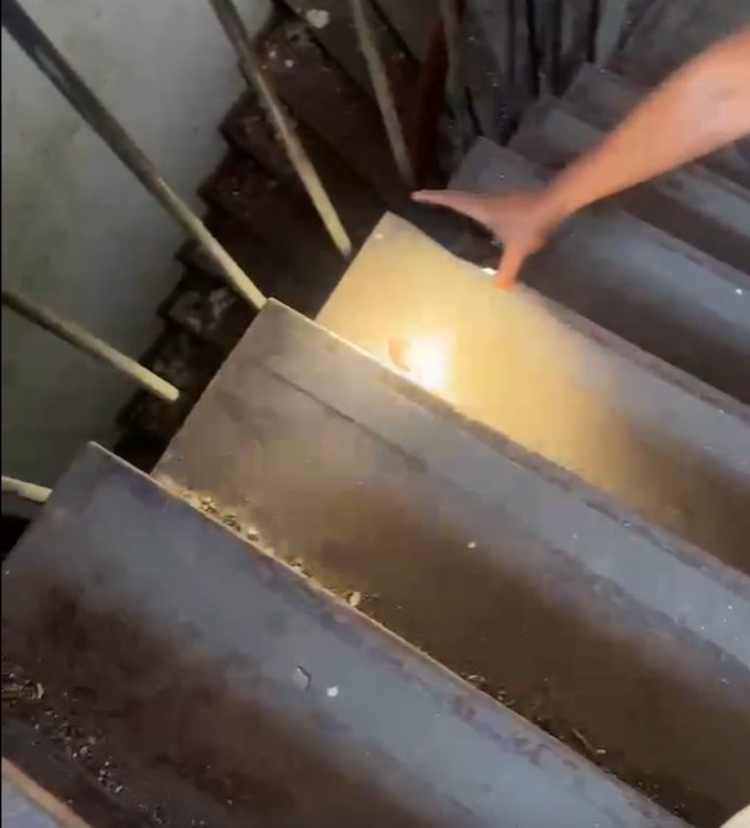 Foto: Neto Silva/Portal do Holanda