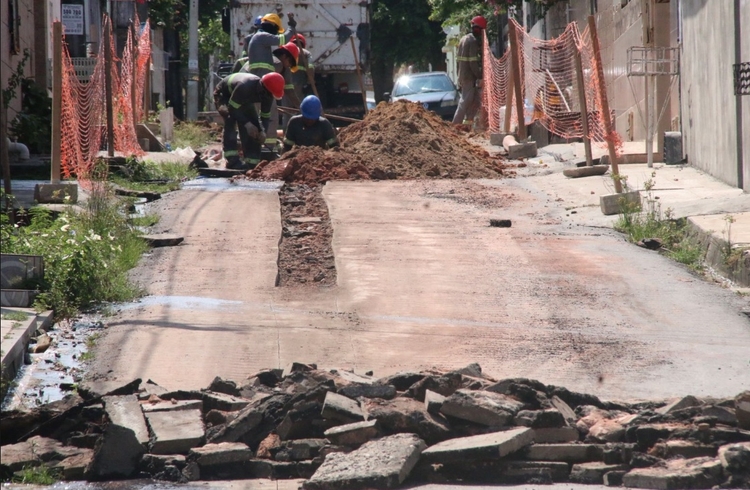 Foto: Jander Robson / Portal do Holanda