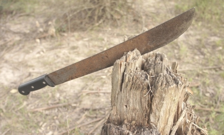 Foto: Reprodução/Pixabay