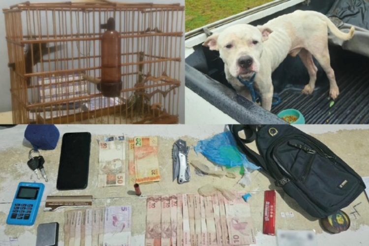 Foto: Divulgação/PC-AM