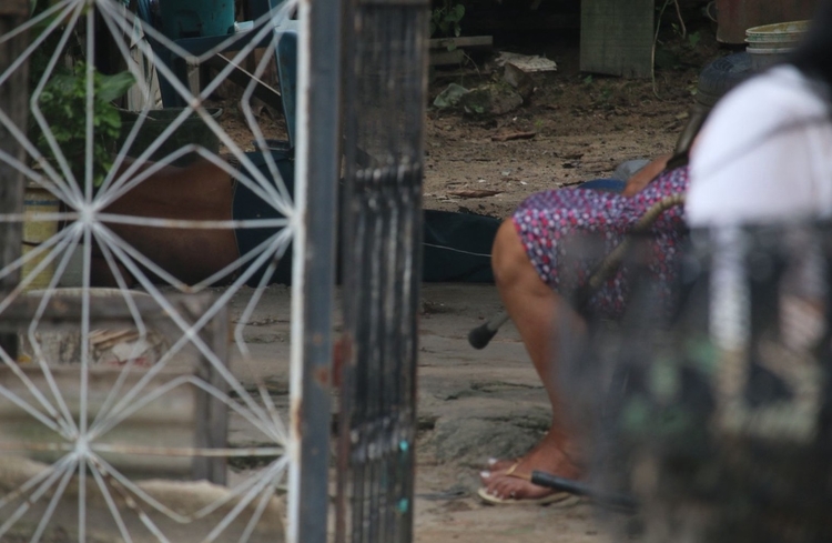 Foto: Jander Robson/Portal do Holanda