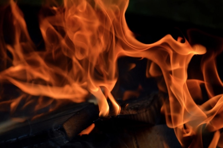 Foto: Reprodução/Canva