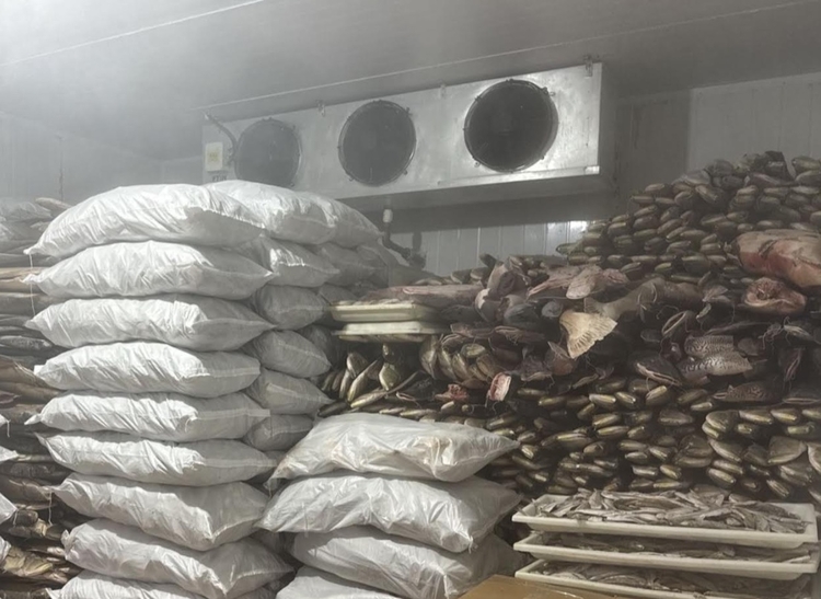 Foto: Divulgação/Ipaam