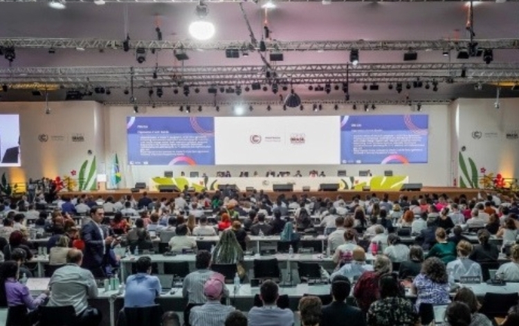 Foto: Divulgação/Governo Federal