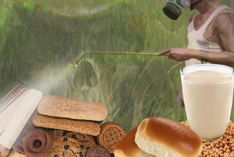 Imagem: Liminha Júnior