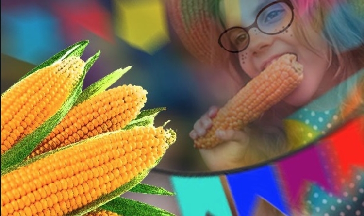 Imagem: Liminha Júnior