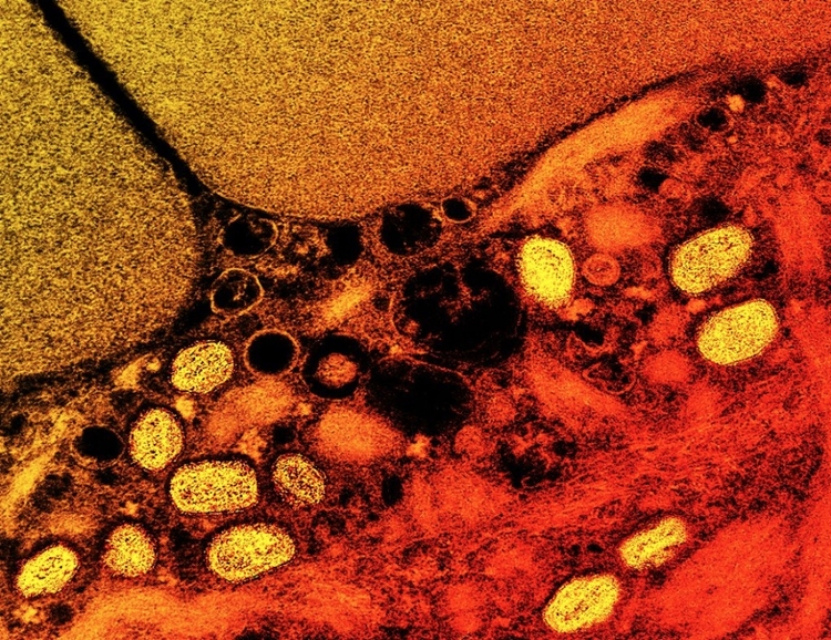 Foto: Reprodução/Fotos Públicas