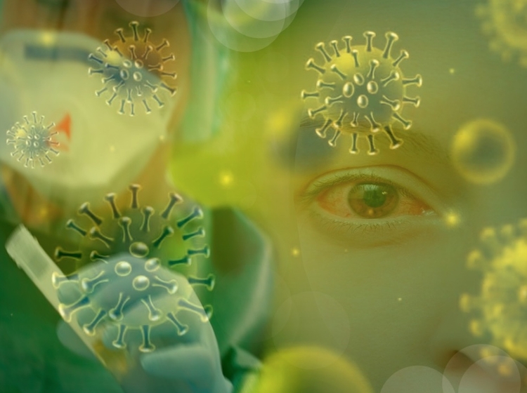 Imagem: Liminha Júnior