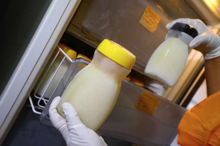 Foto: Arthur Castro/ Secom Divulgação