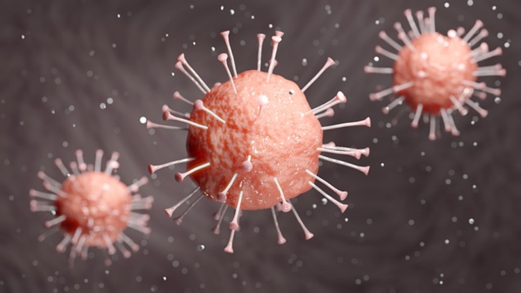 Pandemia do novo coronavírus (Foto: Pixabay)