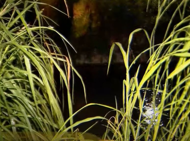 Homem estava no local há horas - Foto: Reprodução