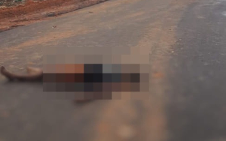 Foto: Reprodução Facebook