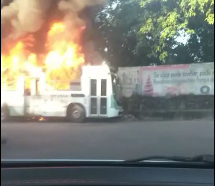 Casos estão ocorrendo em toda a cidade - Foto: Divulgação 