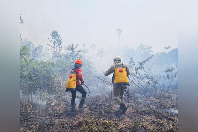 Foto: Divulgação/CBMAM