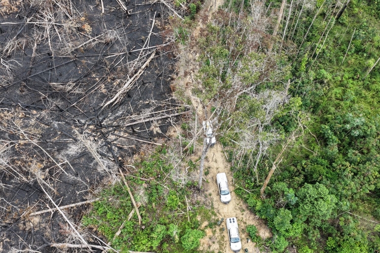 Foto: Divulgação/Ipaam