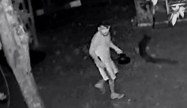 Lázaro foi visto em diversas localidades. Foto: Reprodução