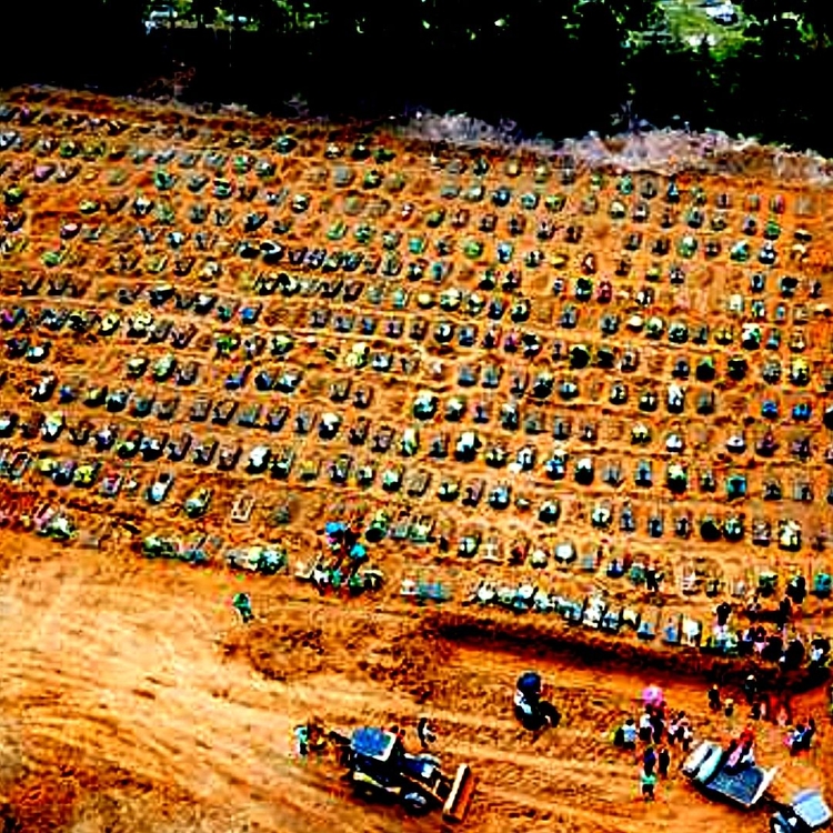 Foto: Pedro Braga Jr. / Portal do Holanda 