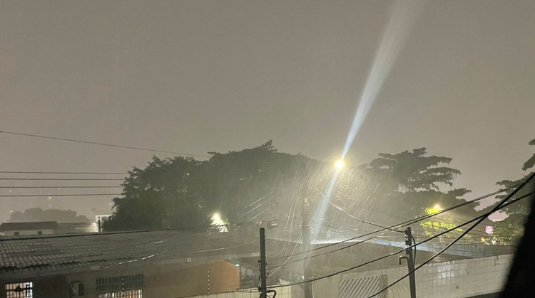 Foto: Portal do Holanda