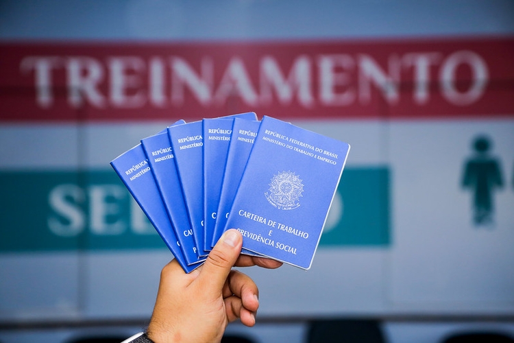 Seletiva é diária - Foto: Divulgação 