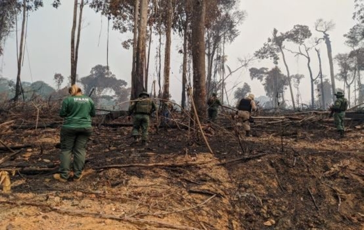 ​​Operação Tamoiotatá nos municípios do Amazonas - Fotos: Divulgação/SSP-AM