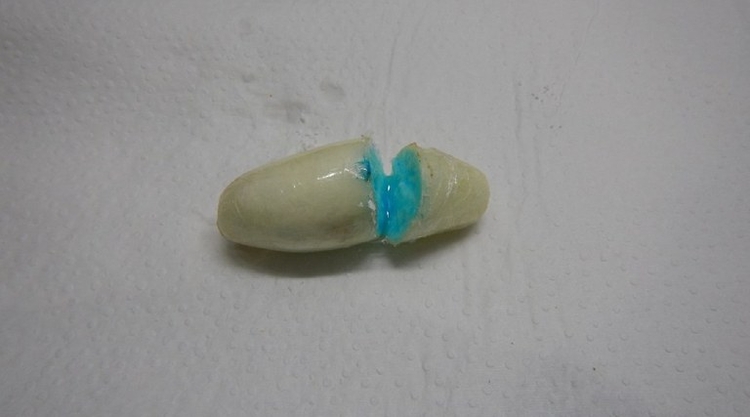 Foto: Divulgação PF