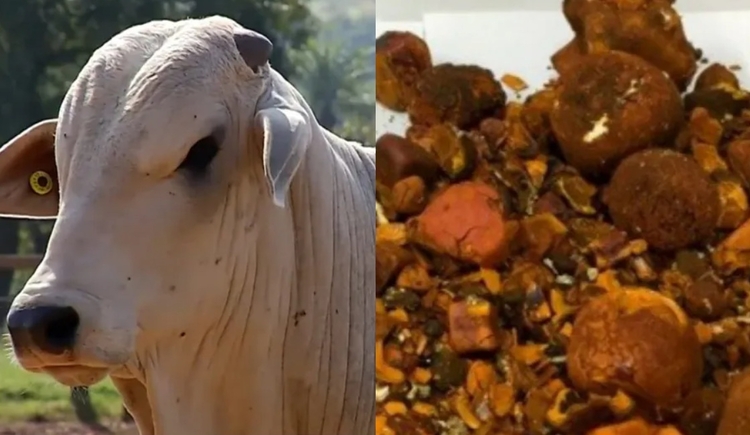 Foto: Reprodução TV Integração e PRF/Divulgação