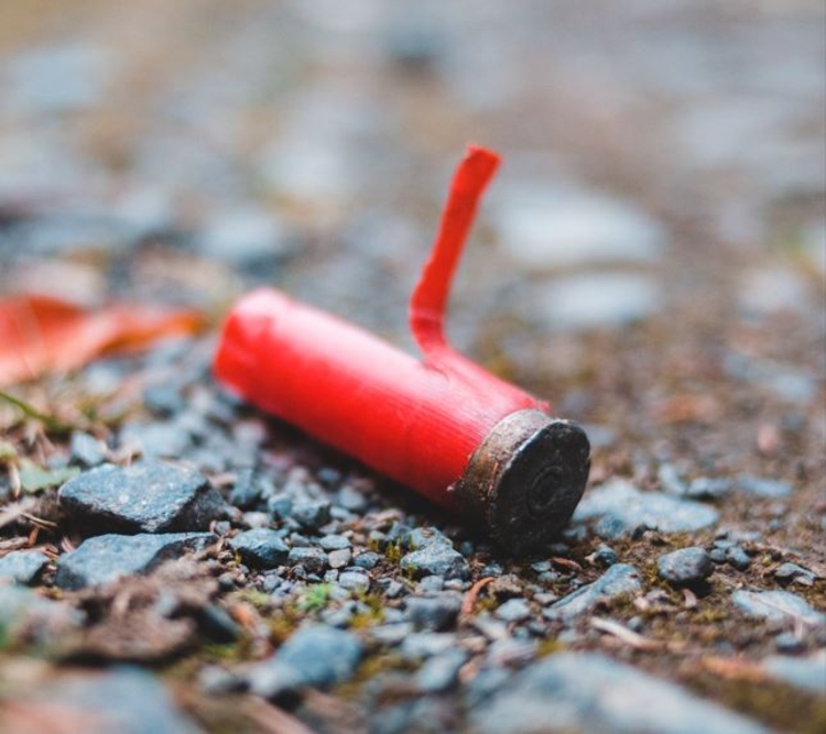 Em circunstâncias bem semelhantes - Foto: Ilustrativa/Pexels