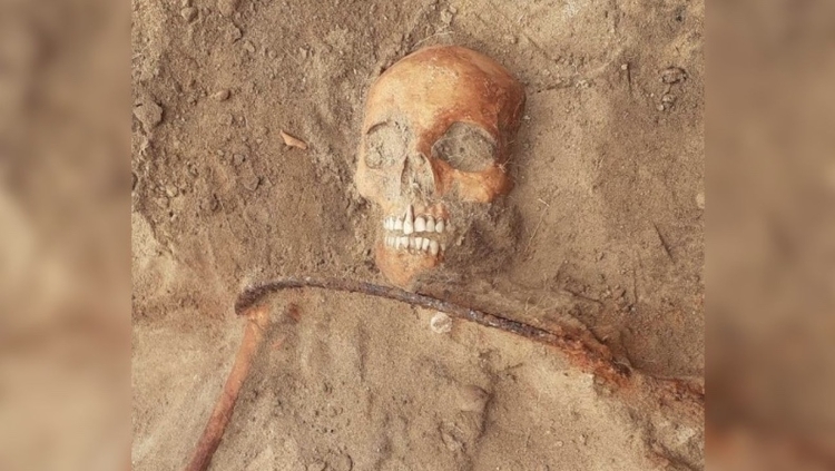 Foto: Divulgação / Mirosław Blicharski / Aleksander Poznań