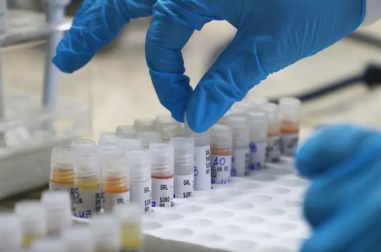 Foto: Divulgação/Secom