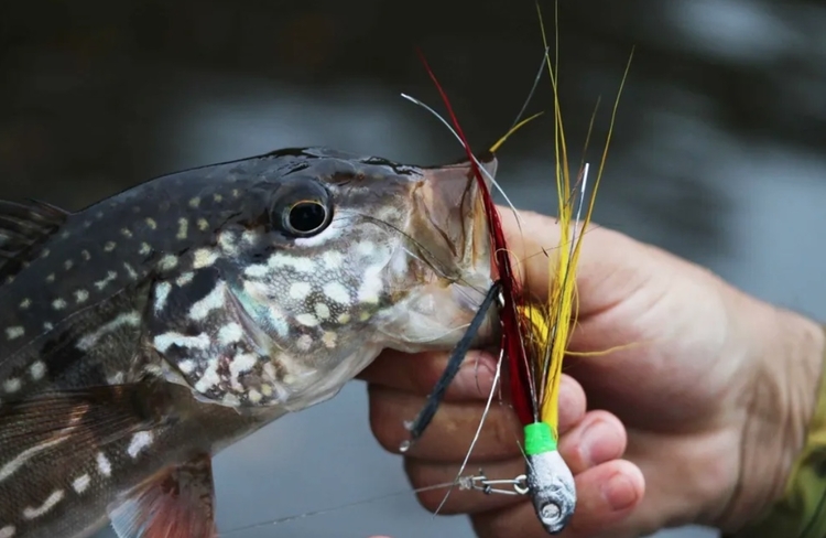Foto: Divulgação / Sema