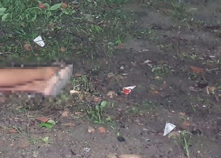 Foto: Caio Guarlotte / Portal do Holanda