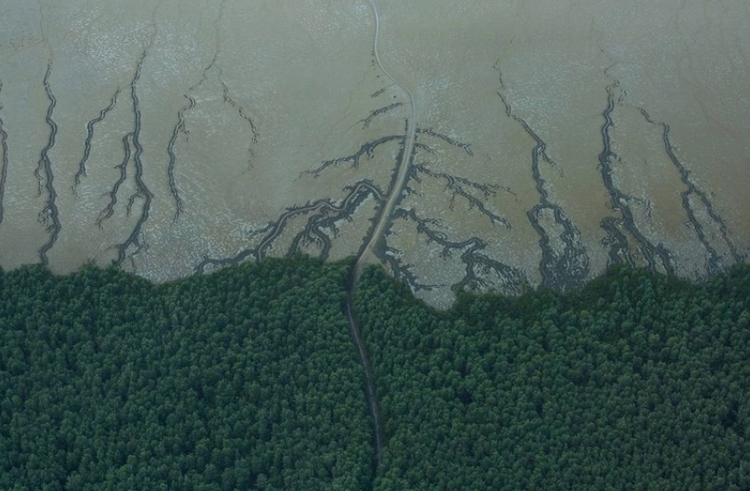 Foto: Vista aérea do Parque Nacional do Cabo Orange, na costa do Amapá, que fica dentro da Bacia da Foz do Amazonas. - Foto: Victor Moriyama/Greenpeace