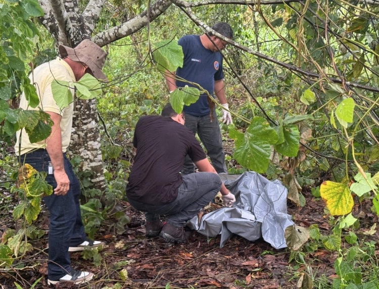 Foto: Neto Silva/Portal do Holanda 