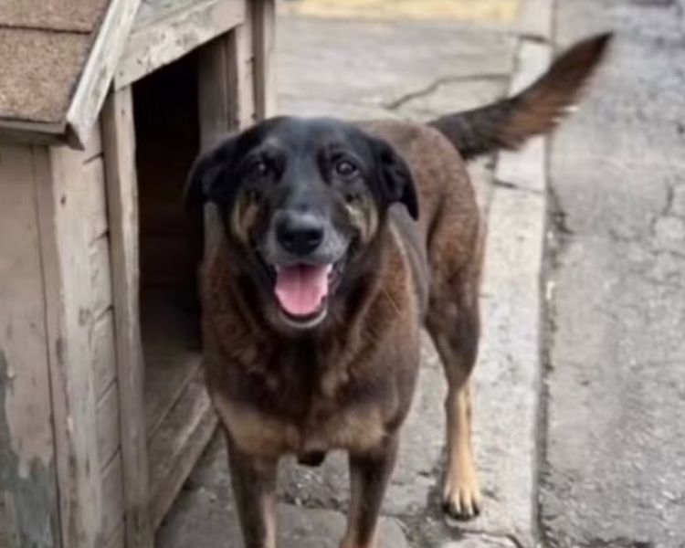 Foto: Reprodução/Redes Sociais