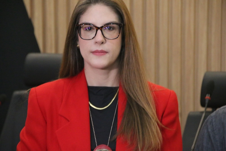 Delegada Priscilla Orberg falou sobre o caso. Foto: Jander Robson/ Portal do Holanda