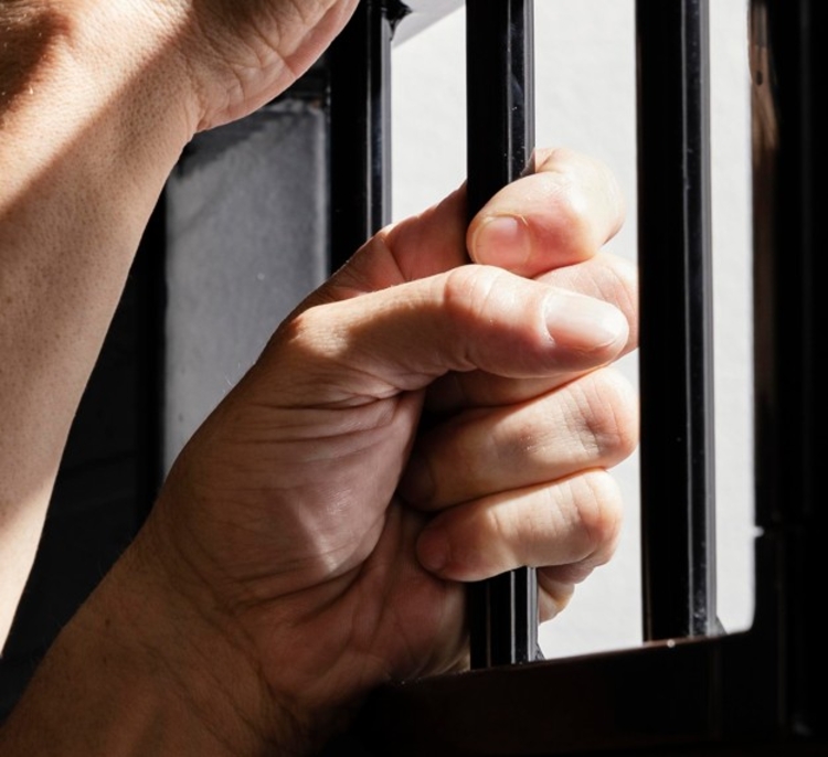 Foto: Freepik Ilustrativa