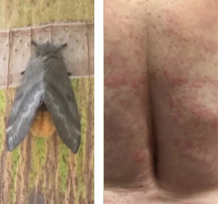 Foto: Reprodução/TV Globo