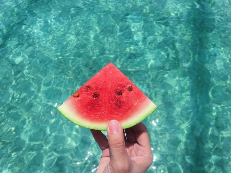 Foto: Reprodução Pexels