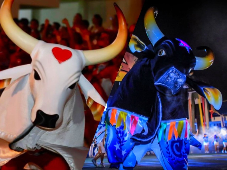 Foto: Reprodução Instagram @sicsupaulo @arleisoncruzfotografo @michel.amazonas @pedrocoelhofotografias