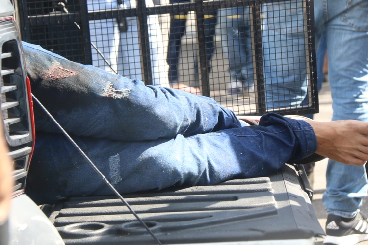 Foto: Jander Robson / Portal do Holanda