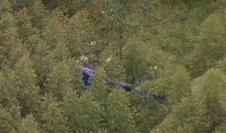 Foto: Reprodução/Tv Globo