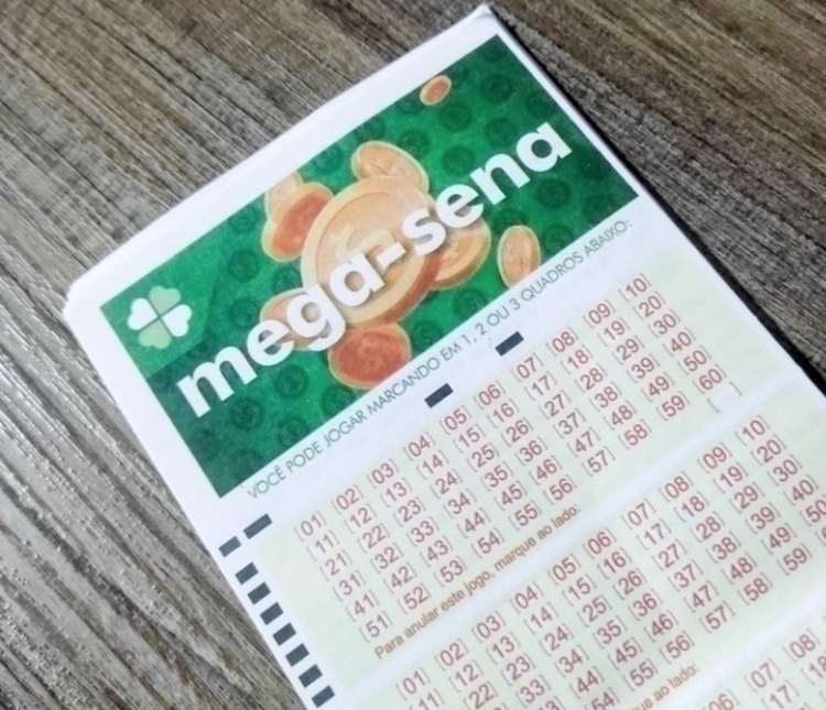 Foto: Portal do Holanda