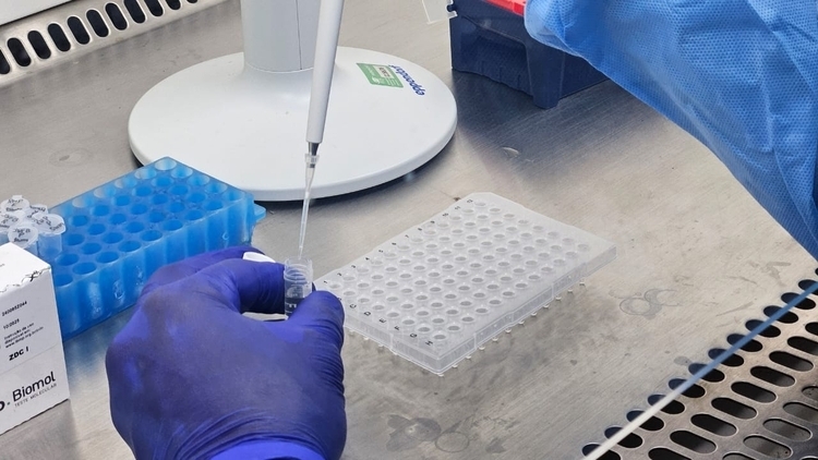 Foto ilustrativa: Divulgação