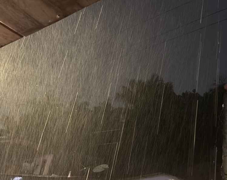 Foto: Portal do Holanda