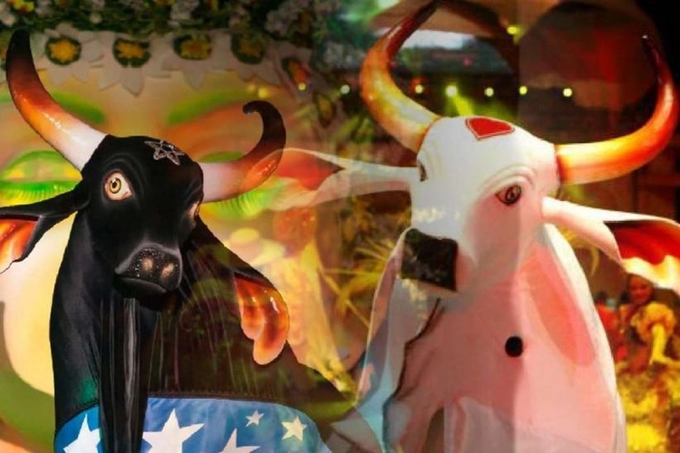 Foto: Bruno Zanardo / Secom