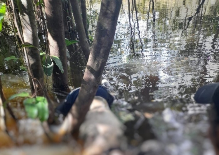 Foto: Reprodução / Redes Sociais