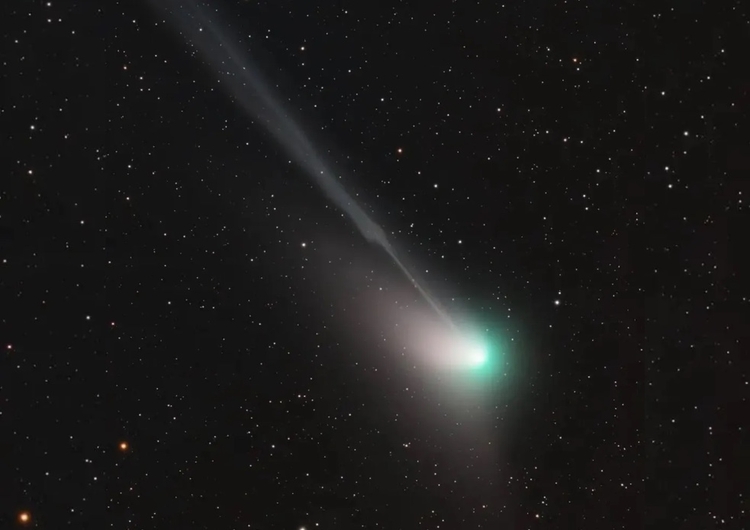 O cometa carrega material volátil que incendeia ao se aproximar do sol, o que gera o brilho intenso. — Foto: Reprodução/Instagram/c.2022e3ztf/David Cruz