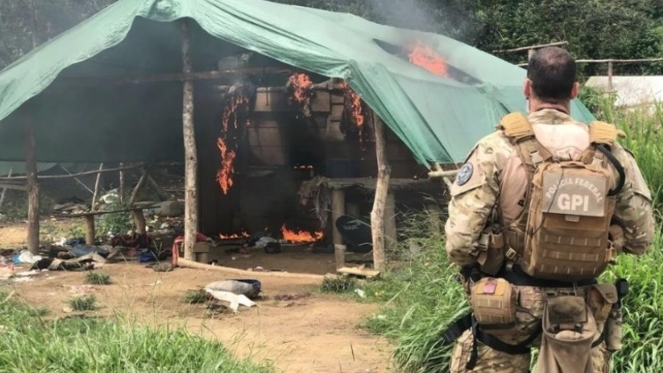 Agente queima abriga de garimpeiros durante operação em Terra Yanomami. Foto: Divulgação/ Ascom PF