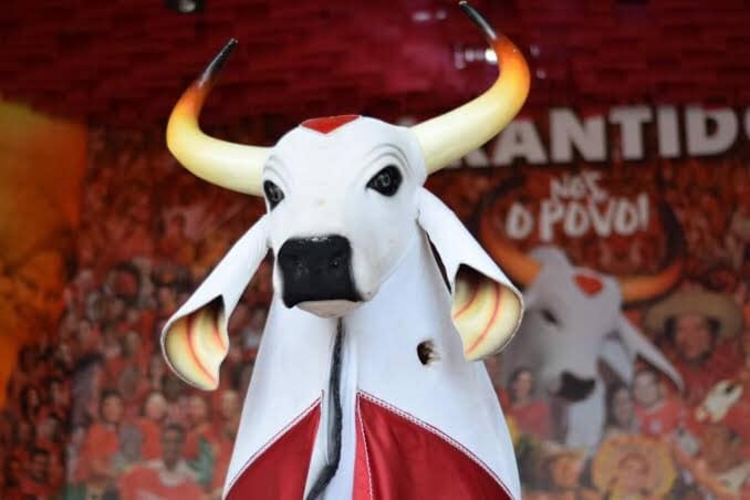 Foto: Reprodução/Facebook Boi-Bumbá Garantido